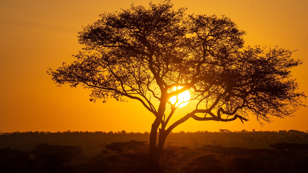 Serengeti Sunset - Life Changing Moment