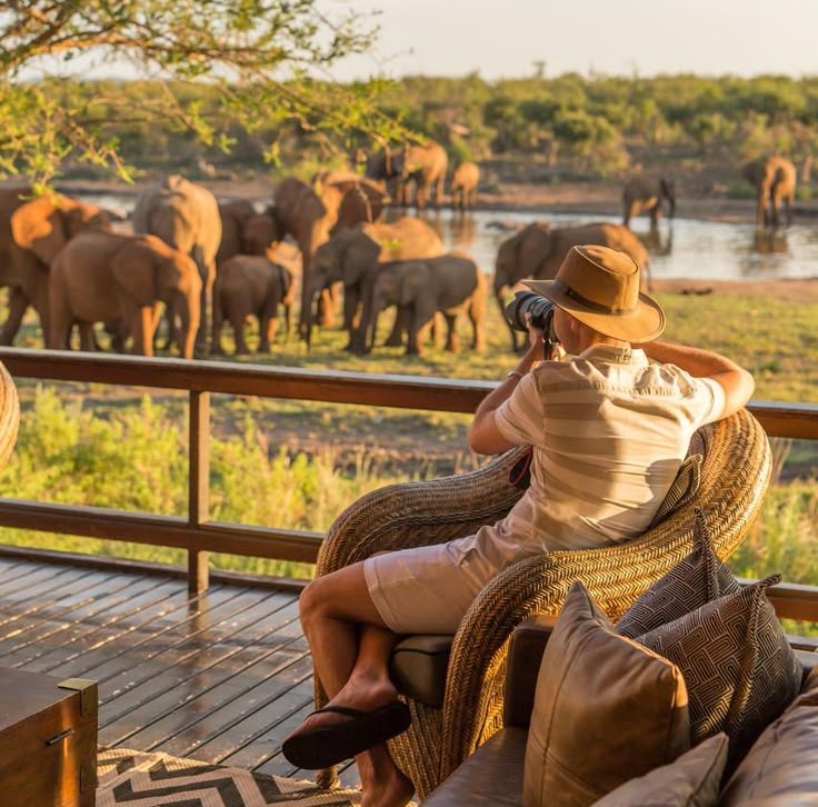 Wildlife Photographic Safari
