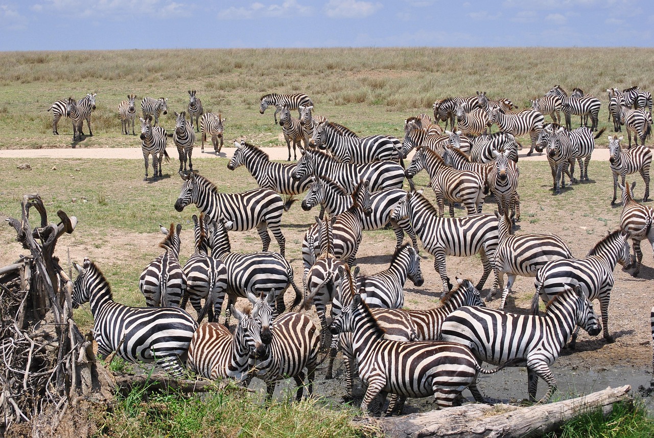 Serengeti National Park