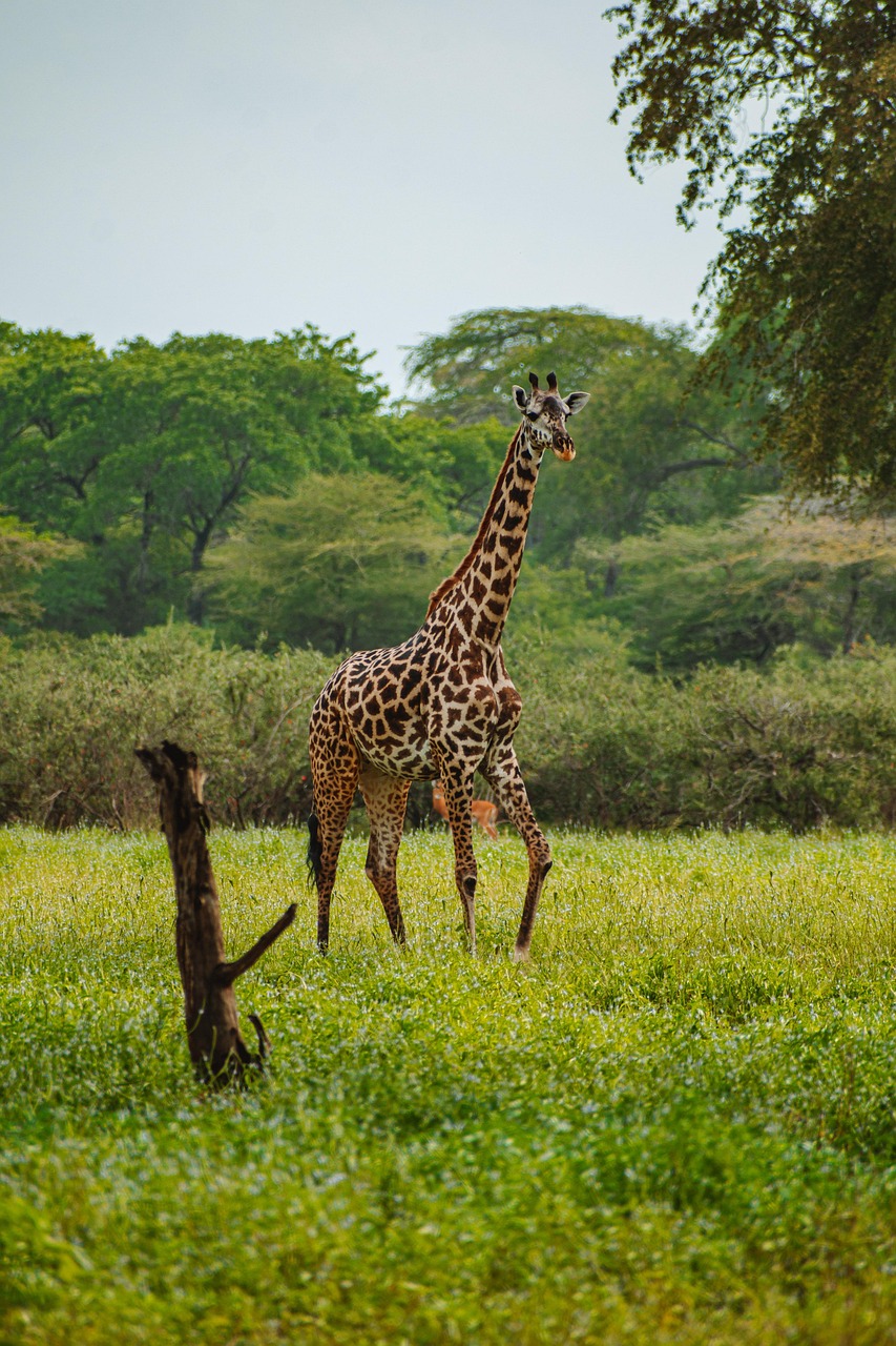 Arusha National Park